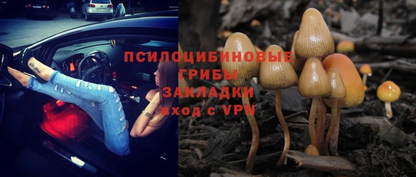MDMA Premium VHQ Нязепетровск